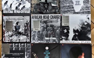 AFRICAN HEAD CHARGE!